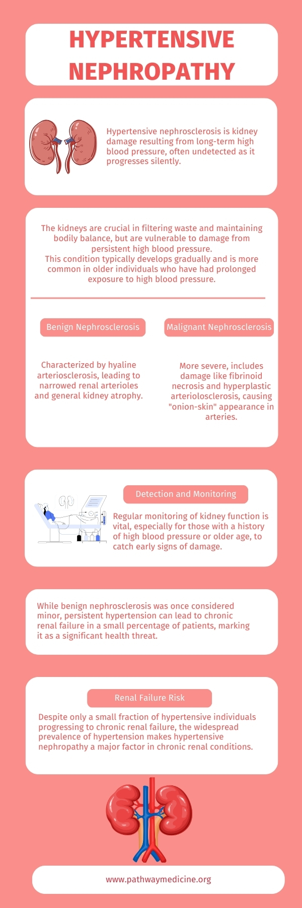 Hypertensive Nephropathy infographic