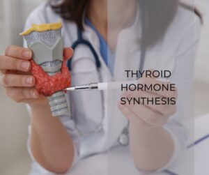 Thyroid Hormone Synthesis: A Comprehensive Guide - Pathway Medicine